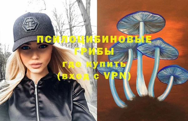 гидропоника Вязьма