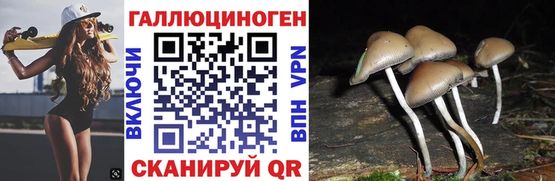 Галлюциногенные грибы GOLDEN TEACHER  даркнет сайт  Костерёво 