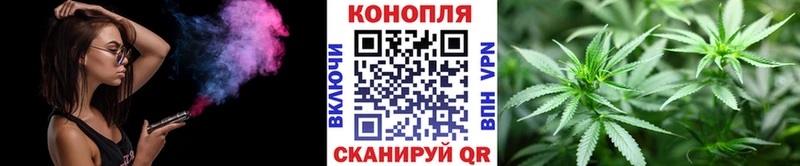 Конопля сатива Костерёво